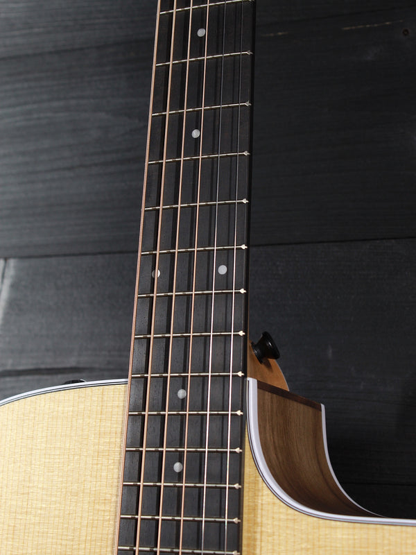 Taylor 210ce Walnut / Spruce Dreadnought Guitar - ES2 Electronics