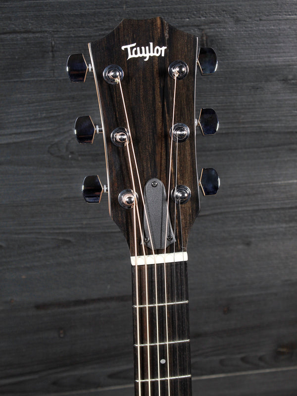 Taylor 210ce Walnut / Spruce Dreadnought Guitar - ES2 Electronics
