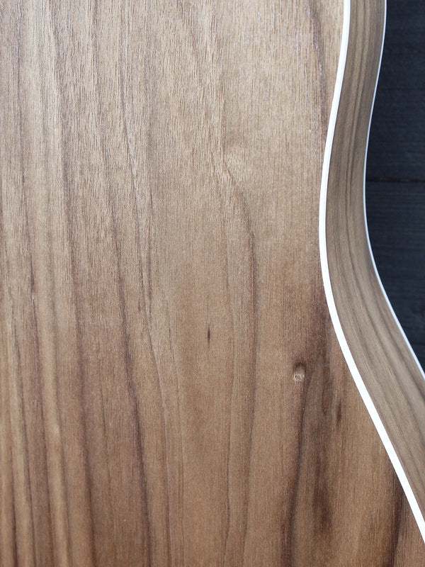 Taylor 210ce Walnut / Spruce Dreadnought Guitar - ES2 Electronics