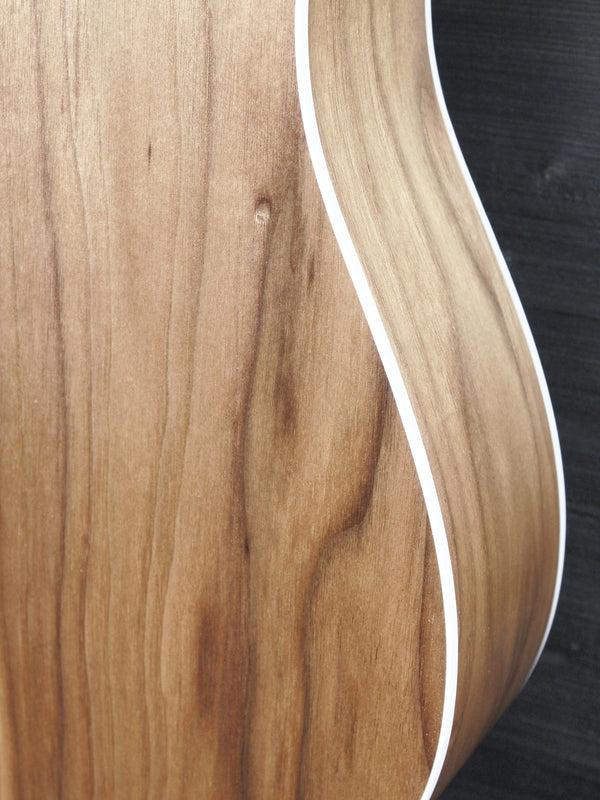 Taylor 210ce Walnut / Spruce Dreadnought Guitar - ES2 Electronics