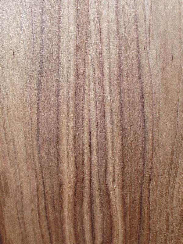 Taylor 210ce Walnut / Spruce Dreadnought Guitar - ES2 Electronics