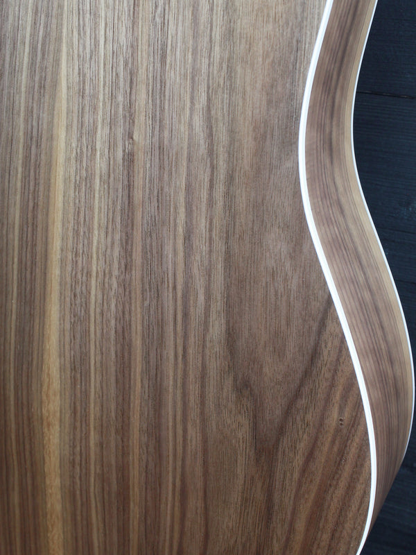 Taylor 210ce Walnut / Spruce Demo Model Dreadnought Guitar - ES2 Electronics