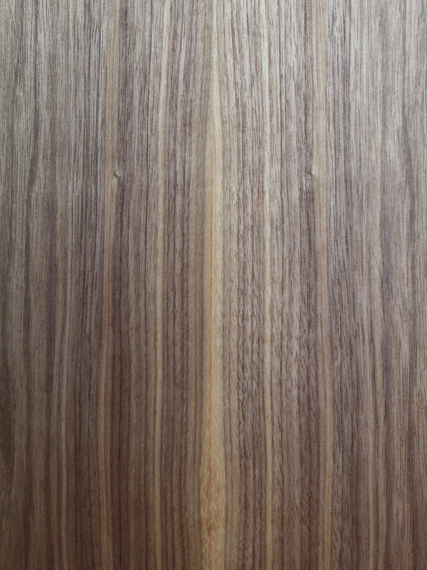 Taylor 210ce Walnut / Spruce Demo Model Dreadnought Guitar - ES2 Electronics