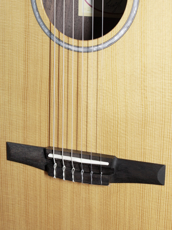 Taylor 212ce-N Plus Rosewood Nylon String Acoustic-Electric Guitar