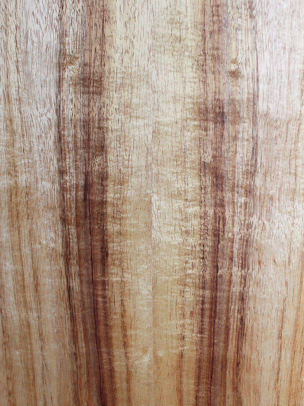 Taylor 214ce-K Left Handed Koa - Demo Model - Grand Auditorium Guitar