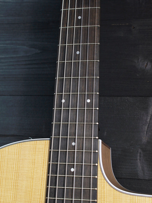 Taylor 214ce-N - Nylon String Walnut Grand Auditorium Acoustic / Electric Guitar