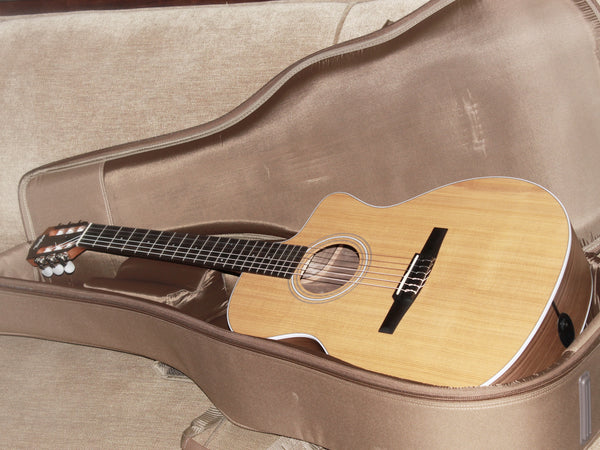Taylor 214ce-N - Nylon String Walnut Grand Auditorium Acoustic / Electric Guitar