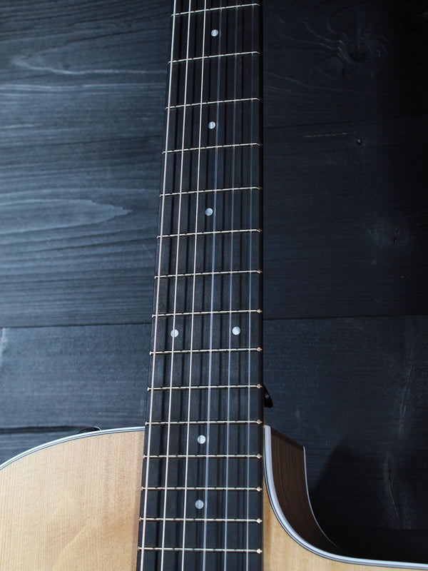Taylor 214ce-N - Nylon String Walnut Grand Auditorium Acoustic / Electric Guitar