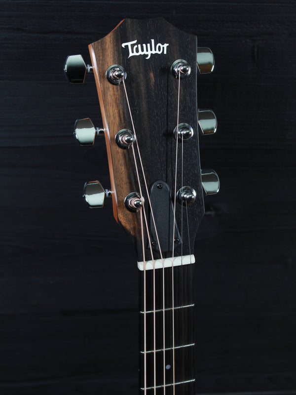 Taylor 214ce Walnut Grand Auditorium - Holiday Price Reduction - ES2 Electronics Acoustic-Electric Guitar