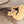 Load image into Gallery viewer, Taylor 214ce Walnut Grand Auditorium ES2 Electronics Acoustic-Electric Guitar
