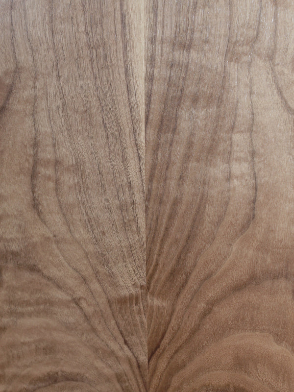 Taylor 214ce Walnut Grand Auditorium ES2 Electronics Acoustic-Electric Guitar