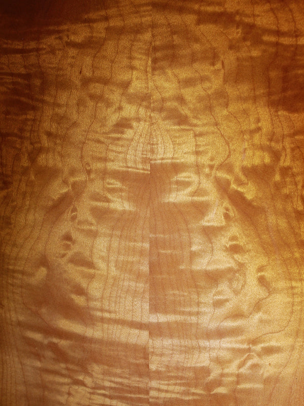 Taylor 217e Plus Special Edition Honeyburst Maple / Torrified Spruce Grand Pacific