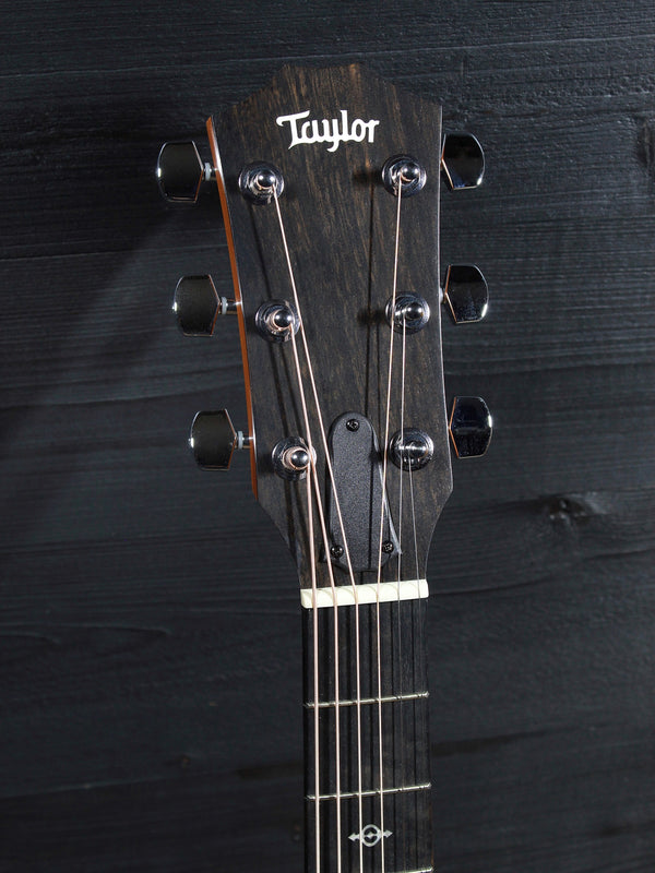 Taylor Custom 224ce K-DLX - Koa Deluxe Natural Matte Finish Acoustic-Electric Guitar
