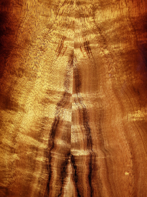 Taylor 224ce K-DLX Left-Handed Koa Deluxe Grand Auditorium Acoustic-Electric Guitar