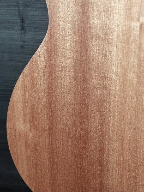 Taylor Guitars 24ce Solid Mahogany Top Grand Auditorium w/ Fishman Electronics