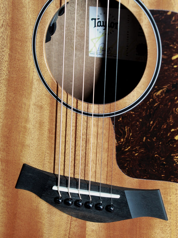 Taylor Guitars 24ce Solid Mahogany Top Grand Auditorium w/ Fishman Electronics