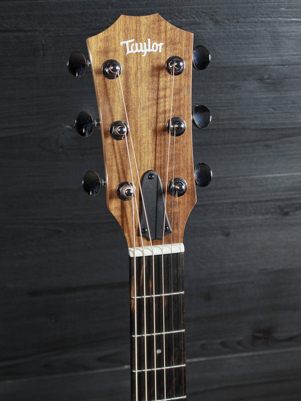 Taylor Guitars 24ce Solid Mahogany Top Grand Auditorium w/ Fishman Electronics