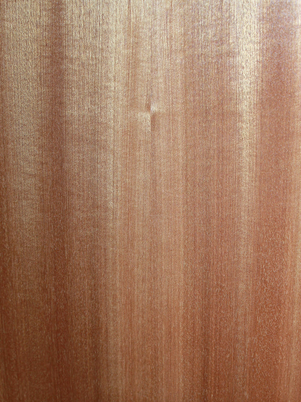 Taylor Guitars 24ce Solid Mahogany Top Grand Auditorium w/ Fishman Electronics