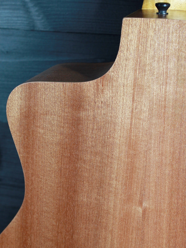 Taylor Guitars 24ce Solid Mahogany Top Grand Auditorium w/ Fishman Electronics