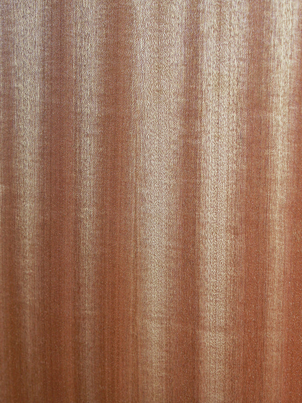 Taylor Guitars 24ce Left-Handed Solid Mahogany Top Grand Auditorium w/ Fishman Electronics