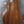 Load image into Gallery viewer, Taylor 254ce Plus 12-String Rosewood Grand Auditorium Acoustic-Electric Guitar
