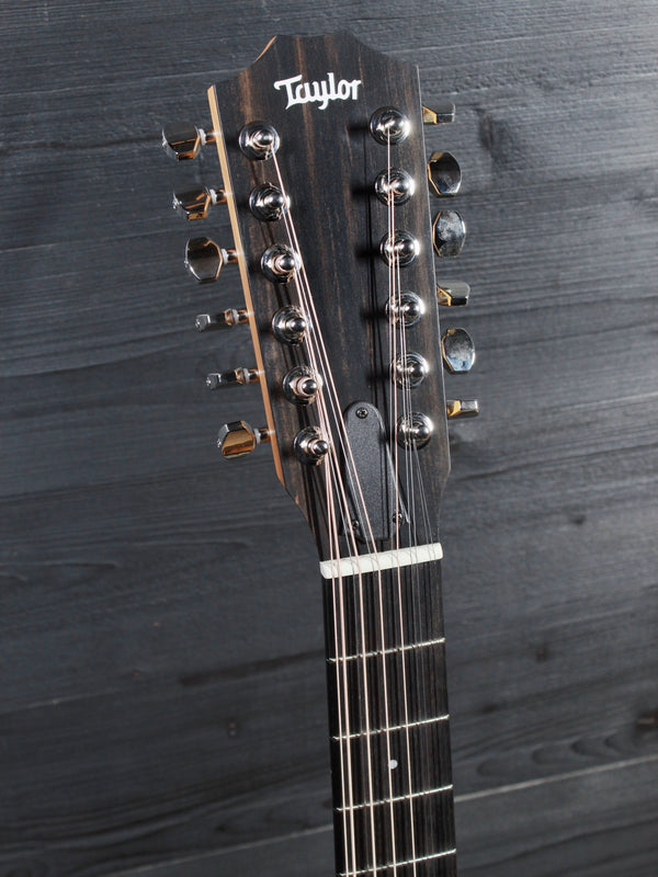 Taylor 254ce Plus 12-String Rosewood Grand Auditorium Acoustic-Electric Guitar