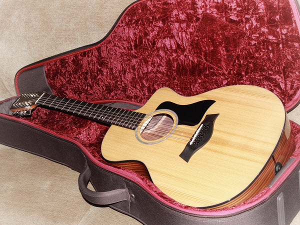 Taylor 254ce Plus 12-String Rosewood Grand Auditorium Acoustic-Electric Guitar
