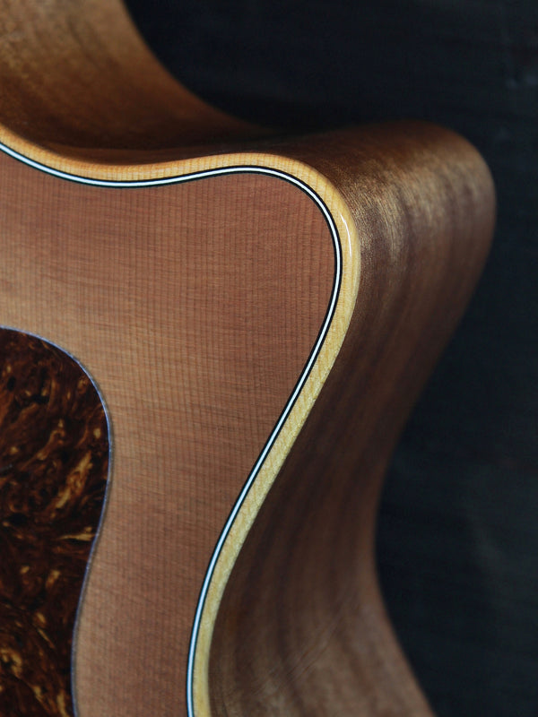 Taylor 314ce Studio SEB Shaded  Sapele / Torrified Spruce Guitar - New Model