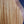 Load image into Gallery viewer, Taylor 314ce Studio SEB Shaded Sapele / Torrified Spruce Acoustic-Electric Guitar
