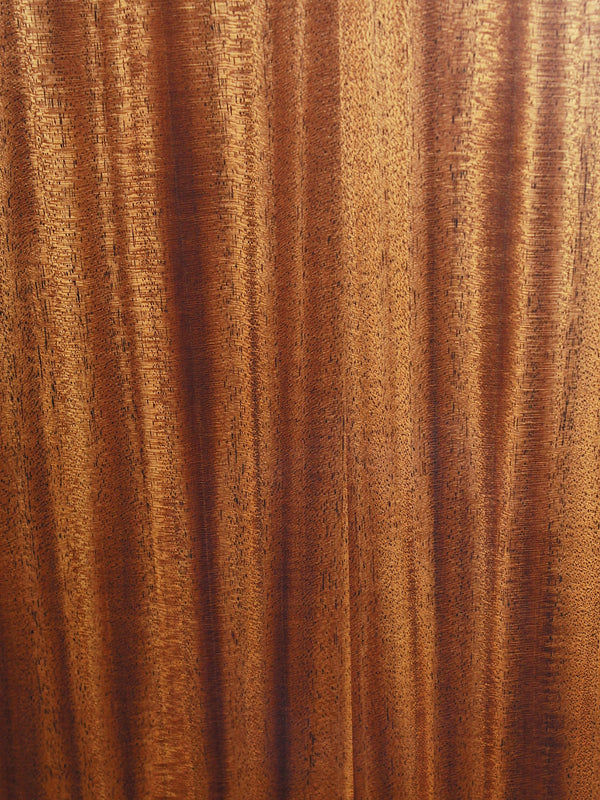 Taylor 322ce Mahogany V Brace - Grand Concert 14 Fret Acoustic-Electric Guitar