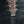 Load image into Gallery viewer, Pre-Owned Taylor 710ce L9 Limited Edition Short Scale Rosewood Dreadnought c.2004
