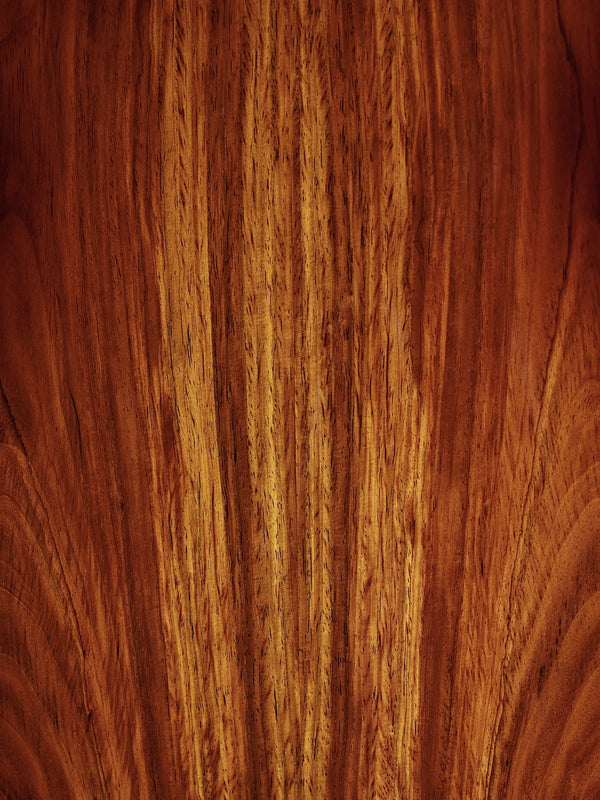 Taylor 814ce LTD Cocobolo Next Generation Acoustic-Electric Guitar