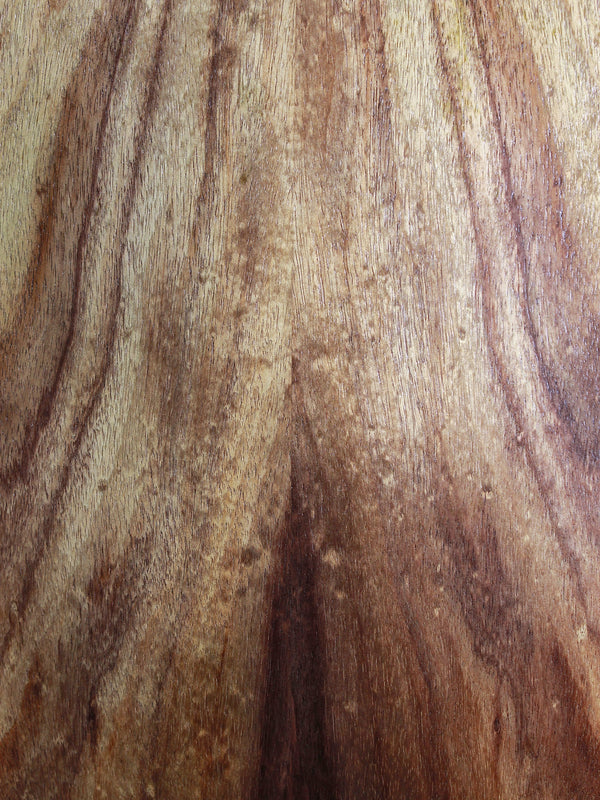 Taylor BTe Koa Baby Taylor Acoustic Guitar w/ Electronics