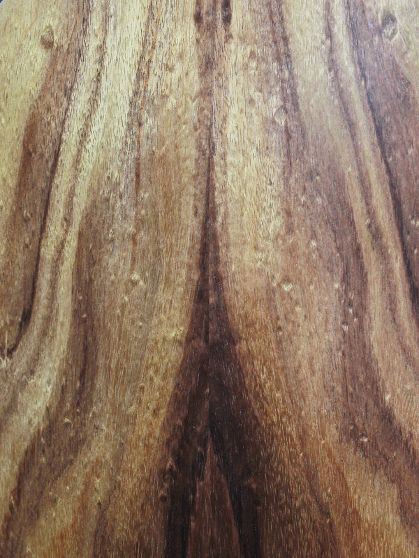 Taylor BTe Koa Baby Taylor Acoustic Guitar w/ ES-B Electronics