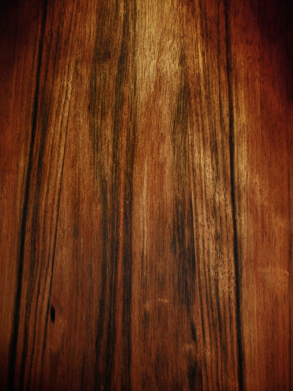 Taylor Next Generation Builder’s Edition 814ce LTD Macassar Ebony Acoustic-Electric Guitar