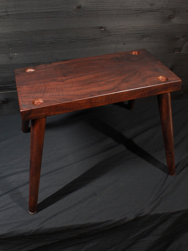 Circa 74 Walnut (rare) Acoustic 2 in 1 Acoustic  / Vocal Amplifier From Taylor Guitars