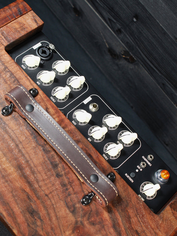 Circa 74 Walnut (rare) Acoustic 2 in 1 Acoustic  / Vocal Amplifier From Taylor Guitars