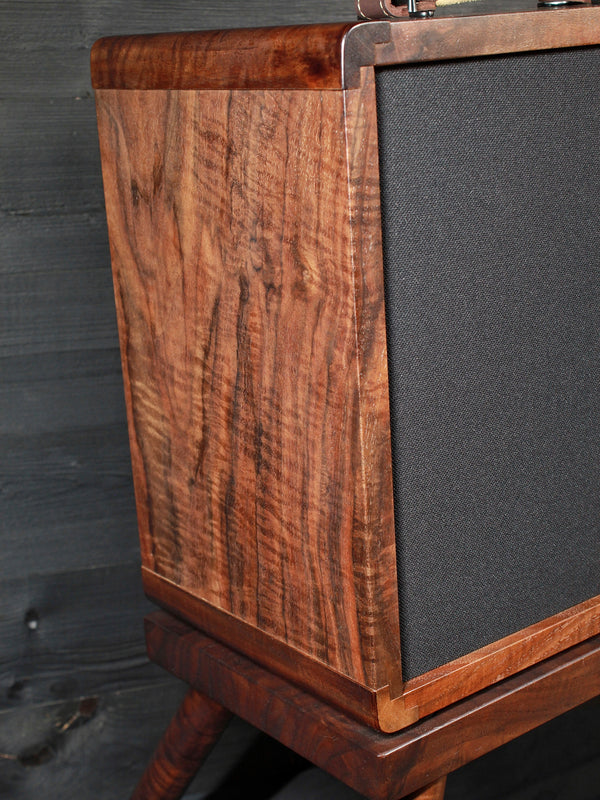 Circa 74 Walnut (rare) Acoustic 2 in 1 Acoustic  / Vocal Amplifier From Taylor Guitars