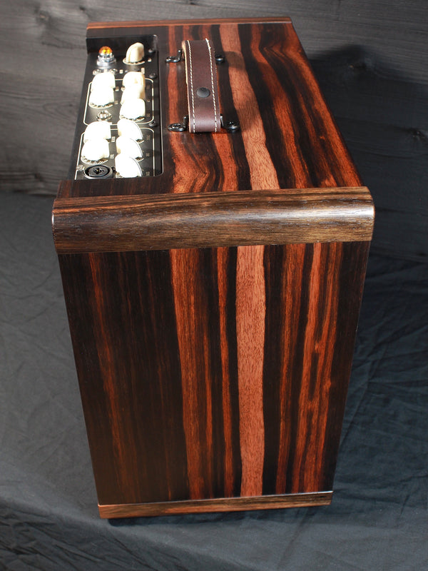 Circa 74 Acoustic Amp by Taylor Limited Edition Macassar Ebony Cabinet