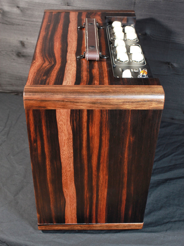 Circa 74 Acoustic Amp by Taylor Limited Edition Macassar Ebony Cabinet