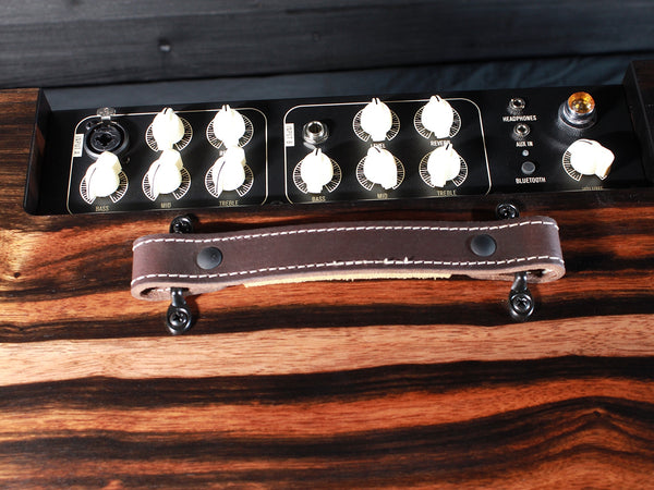 Circa 74 Acoustic Amp by Taylor Limited Edition Macassar Ebony Cabinet