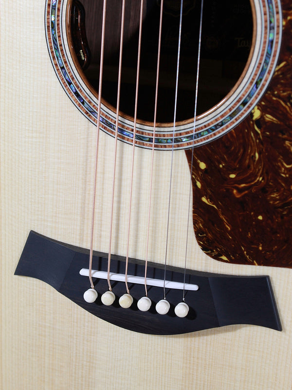 Taylor Guitars NAMM Custom DN #13 Honduran Rosewood / Adirondack Dreadnought