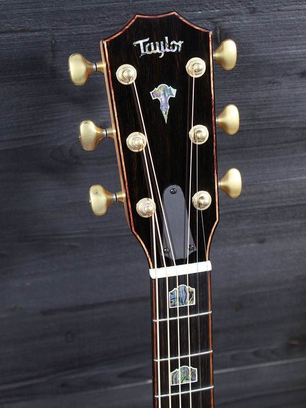 Taylor Guitars NAMM Custom DN #13 Honduran Rosewood / Adirondack Dreadnought