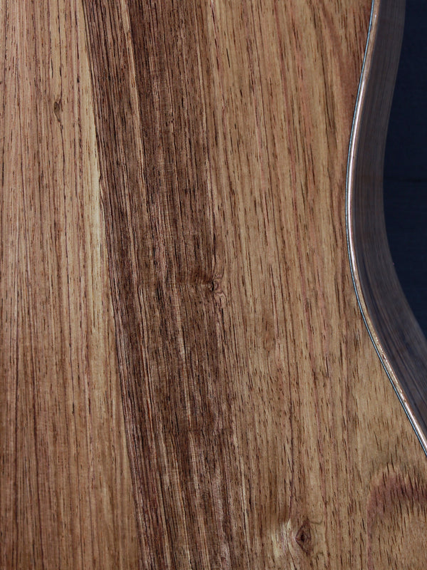 Taylor Guitars NAMM Custom DN #13 Honduran Rosewood / Adirondack Dreadnought