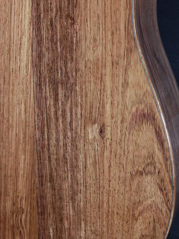 Taylor Guitars NAMM Custom DN #13 Honduran Rosewood / Adirondack Dreadnought