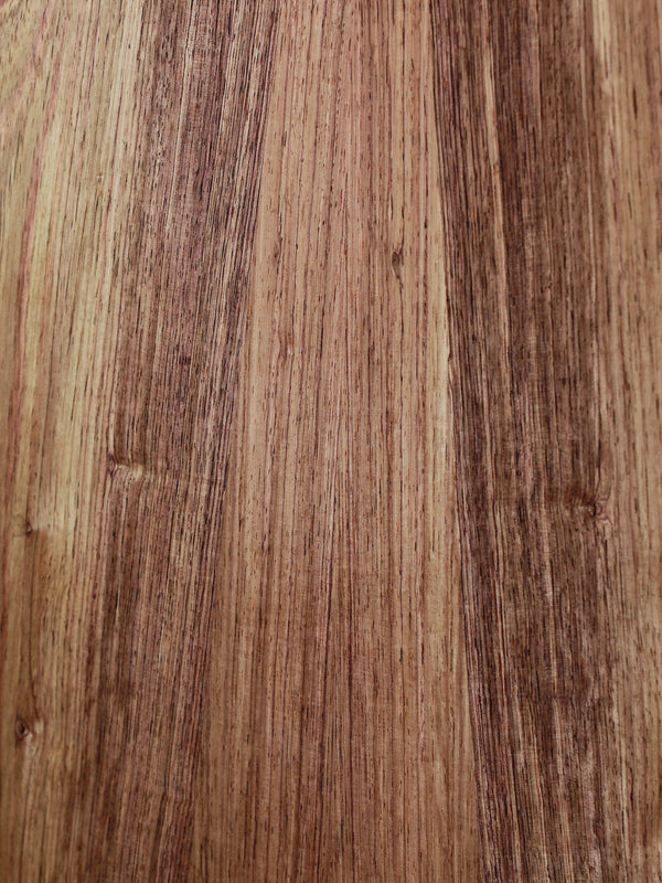 Taylor Guitars NAMM Custom DN #13 Honduran Rosewood / Adirondack Dreadnought