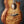 Load image into Gallery viewer, Taylor Guitars Custom GA Master Grade Koa w/ Cocobolo Appointments

