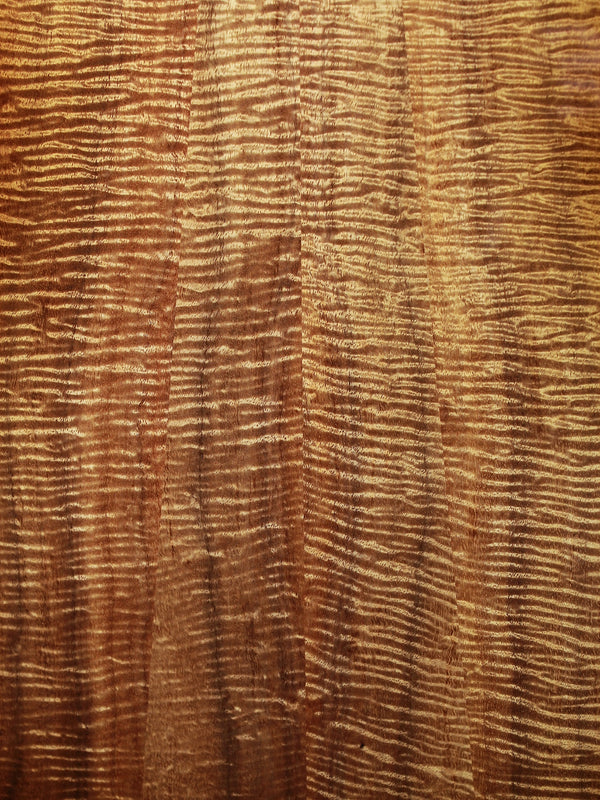 Taylor Guitars Custom GA Master Grade Koa w/ Cocobolo Appointments