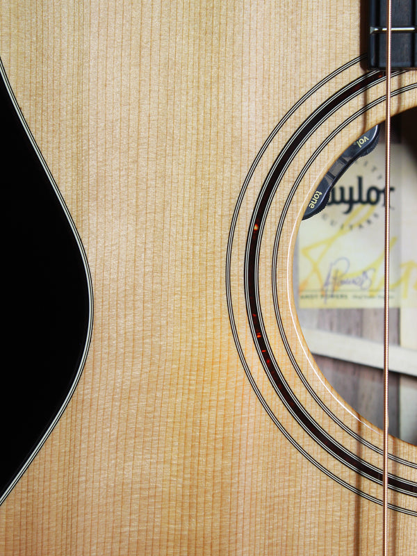 Taylor Custom Select 312ce 12-Fret Walnut Cedar w/ LR Baggs HiFi Electronics