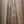 Load image into Gallery viewer, Taylor Custom Select 312ce 12-Fret Walnut Cedar w/ LR Baggs HiFi Electronics
